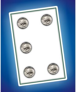 Coin Card - bulk - 100 pieces