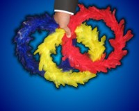 Color Changing Feather Wreaths