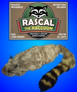Rascal Raccoon - Spring Puppet