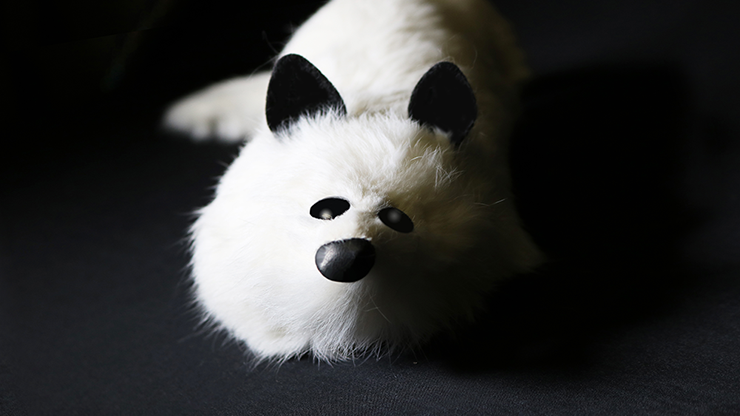 Spring White Fox - Jules - Magic Masters